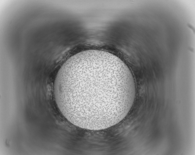 X0000093391397200710251230