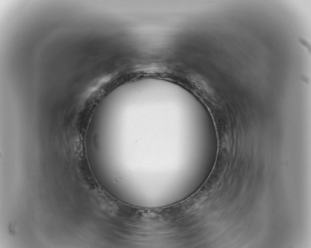 X0000093391398200710251230