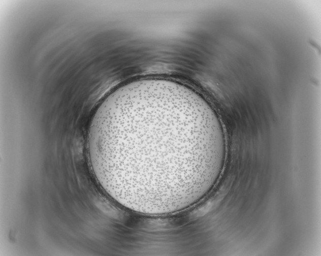 X0000093391401200710251230