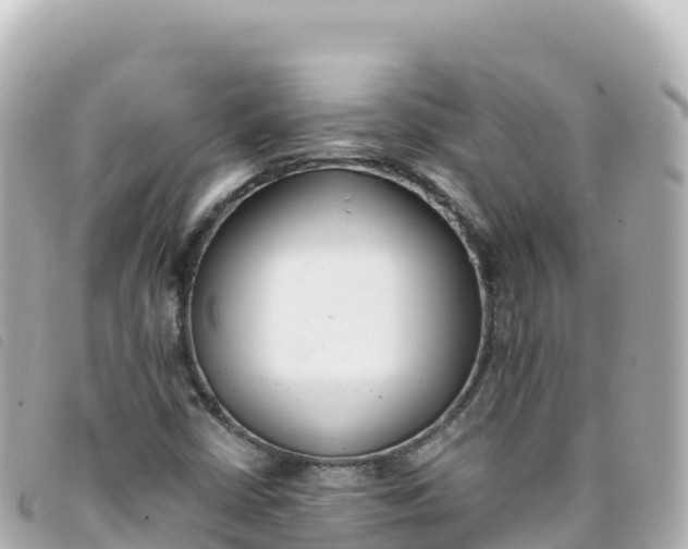 X0000093391402200710251230