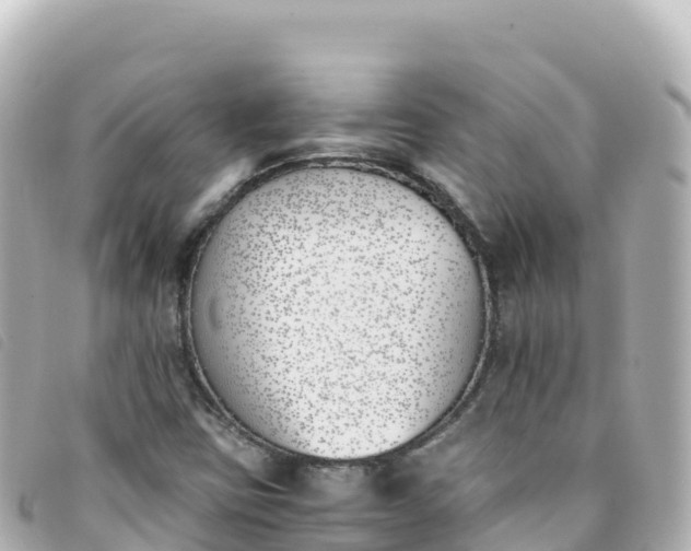 X0000093391403200710251230