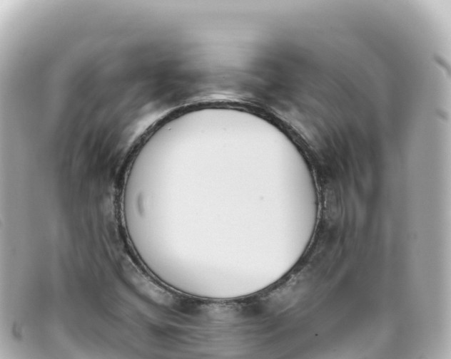 X0000093391404200710251230