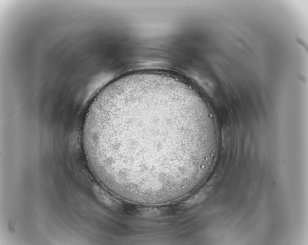 X0000093391405200710251230