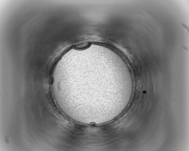 X0000093391407200710251230