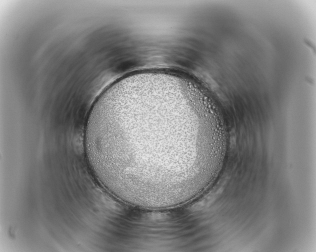 X0000093391409200710251230