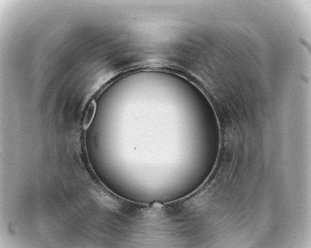 X0000093391410200710251230