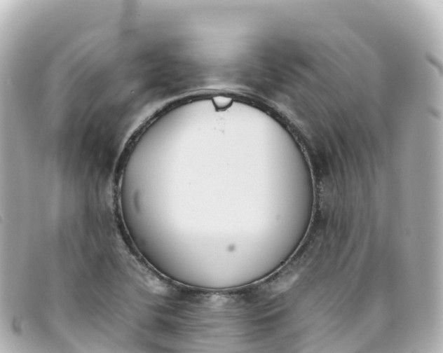 X0000093391412200710251230