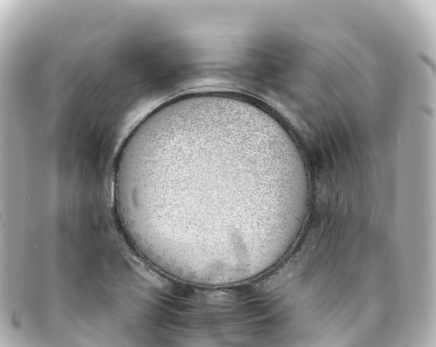 X0000093391413200710251230