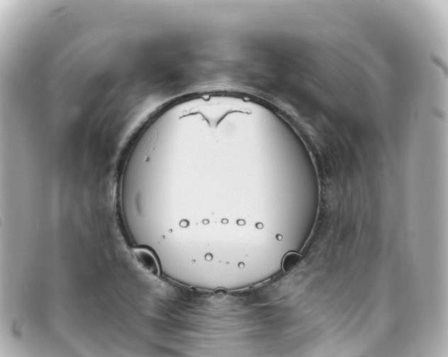 X0000093391416200710251230