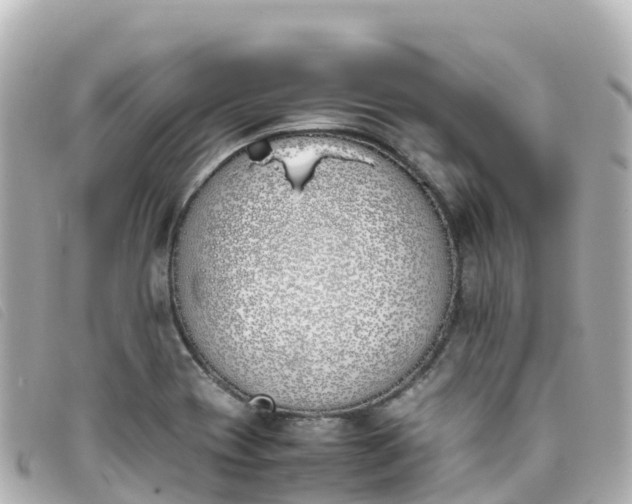 X0000093391417200710251230