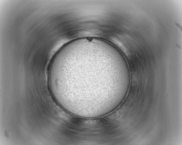 X0000093391419200710251230