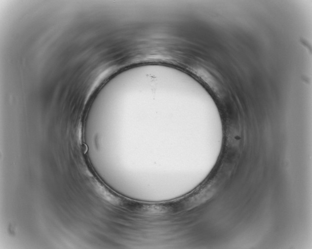 X0000093391420200710251230