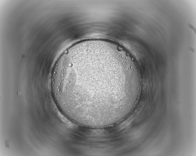 X0000093391421200710251230