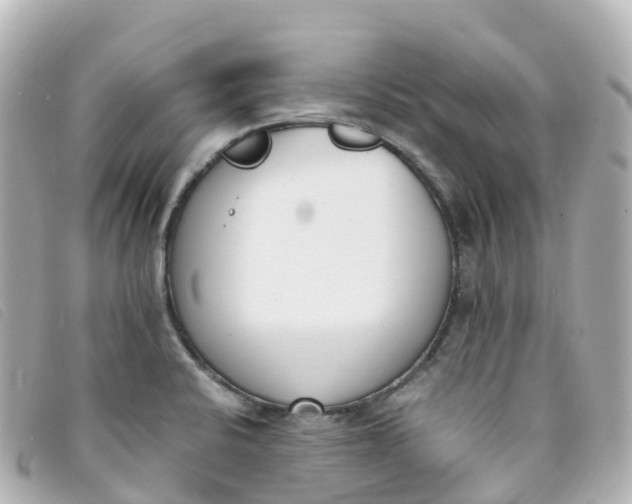 X0000093391424200710251230