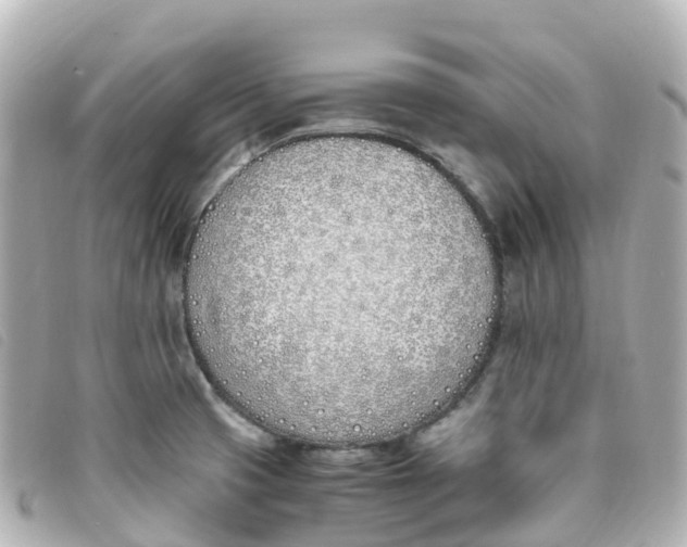 X0000093391425200710251230