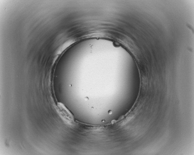 X0000093391426200710251230