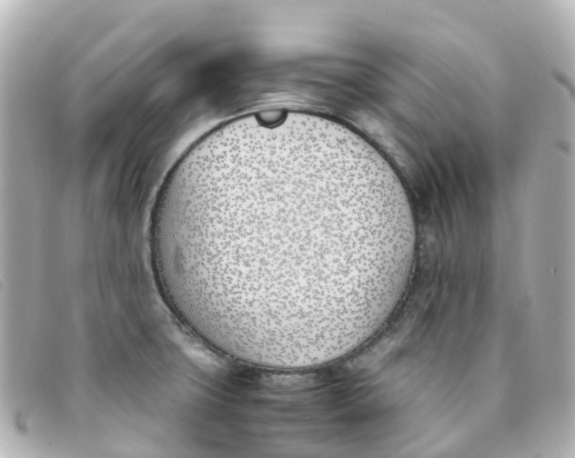 X0000093391427200710251230