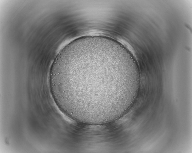 X0000093391429200710251230