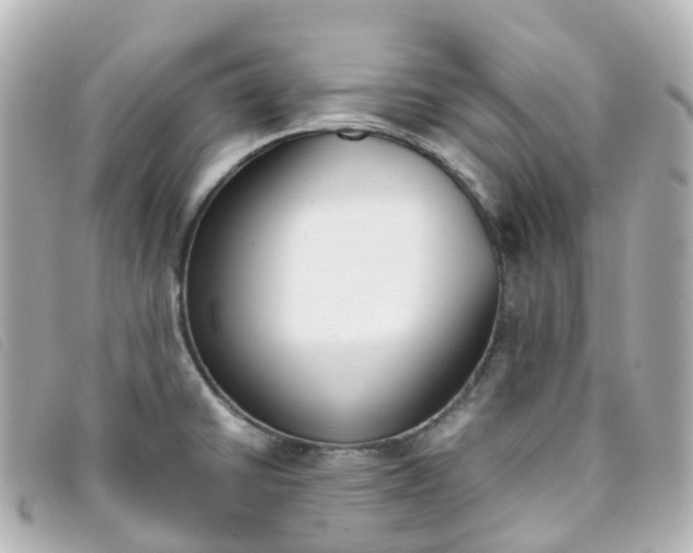 X0000093391430200710251230