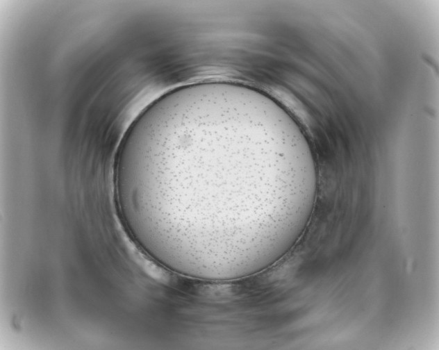 X0000093391431200710251230