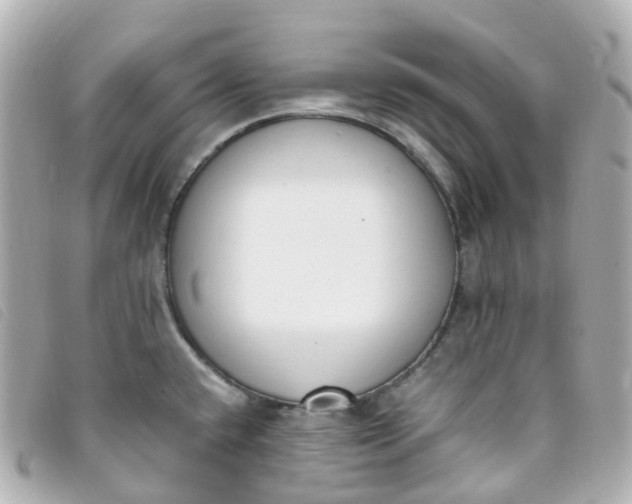 X0000093391432200710251230