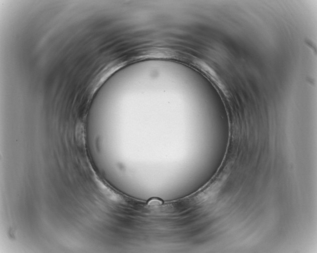 X0000093391433200710251230