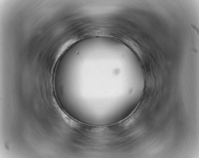 X0000093391434200710251230