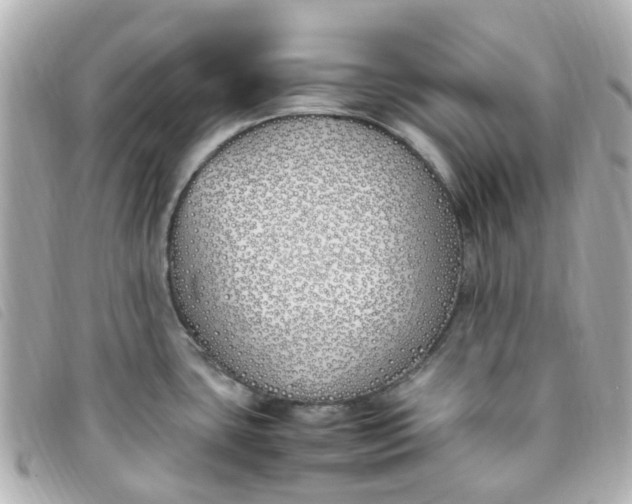 X0000093391435200710251231