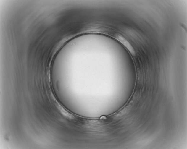 X0000093391436200710251231