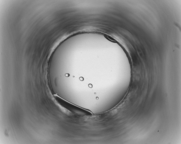 X0000093391437200710251231