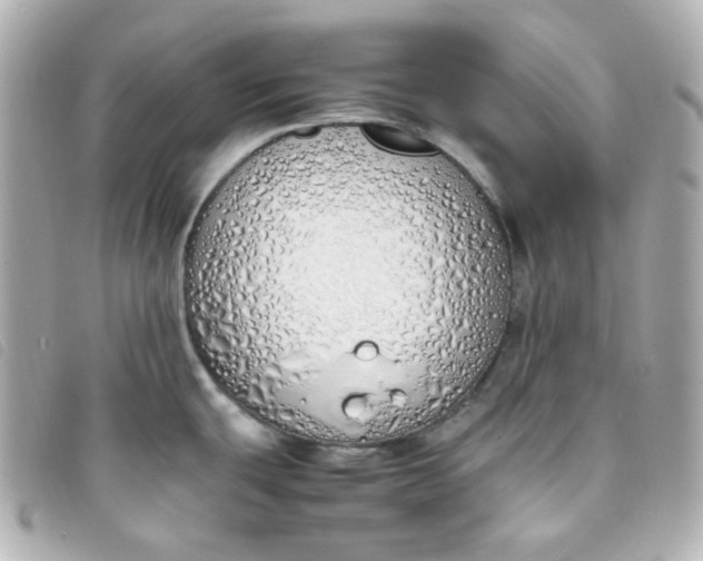 X0000093391439200710251231