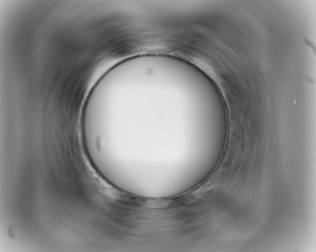 X0000093391440200710251231