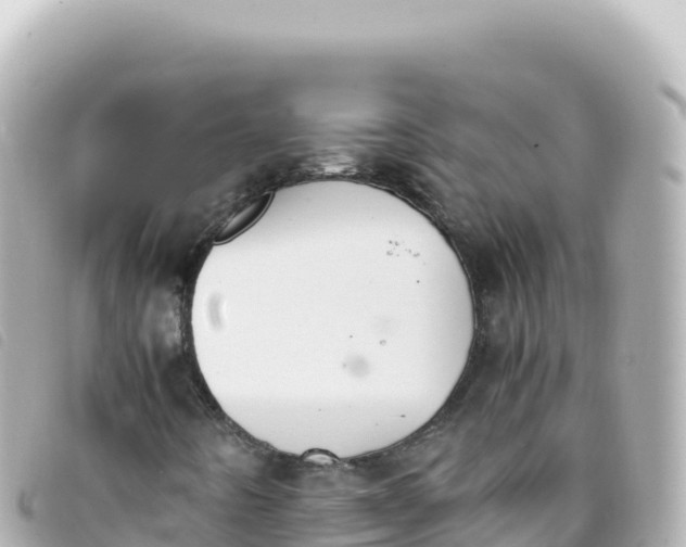 X0000093391442200710251230