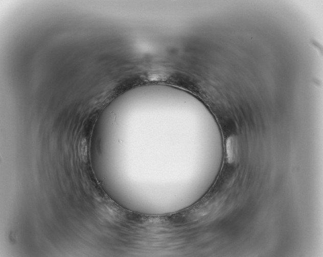 X0000093391443200710251230