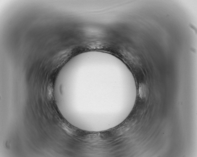 X0000093391444200710251230