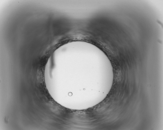 X0000093391446200710251230