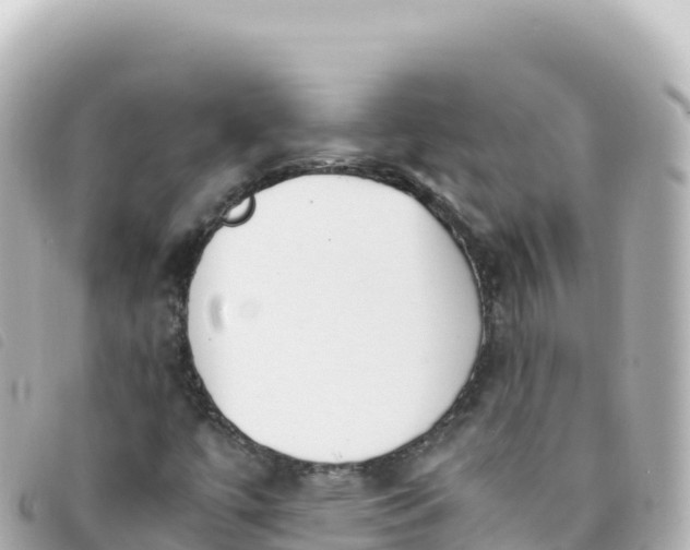 X0000093391447200710251230