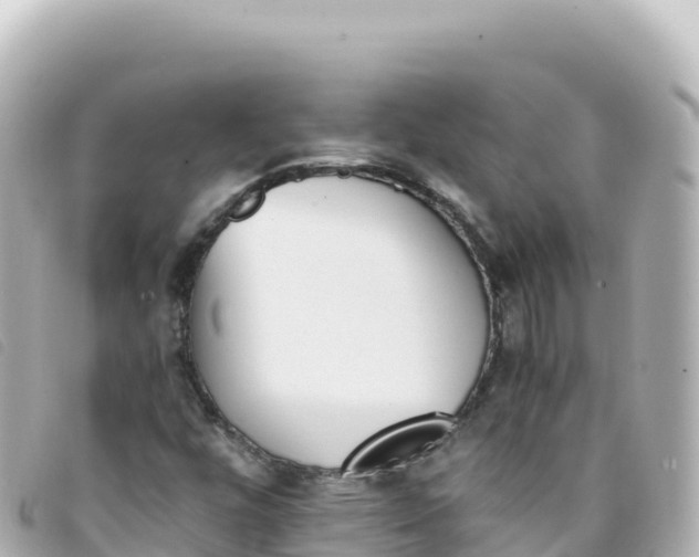 X0000093391448200710251230