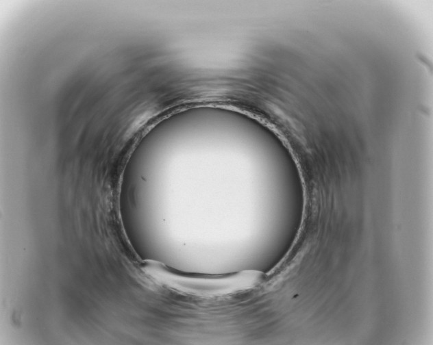 X0000093391449200710251230