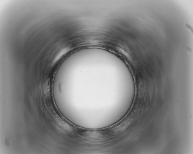 X0000093391450200710251230