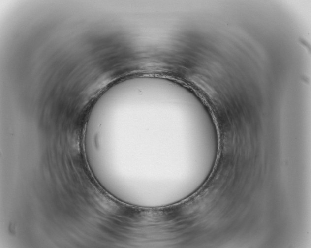 X0000093391451200710251230