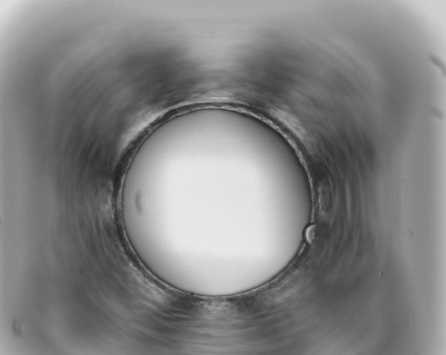 X0000093391452200710251230