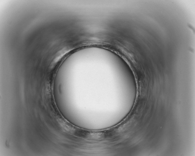 X0000093391453200710251230