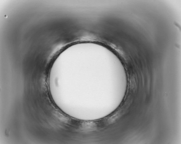 X0000093391454200710251230