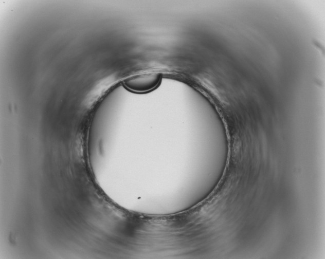 X0000093391455200710251230