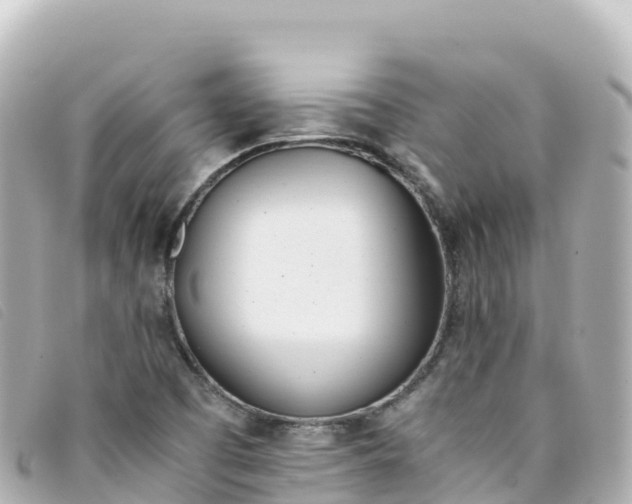 X0000093391457200710251230