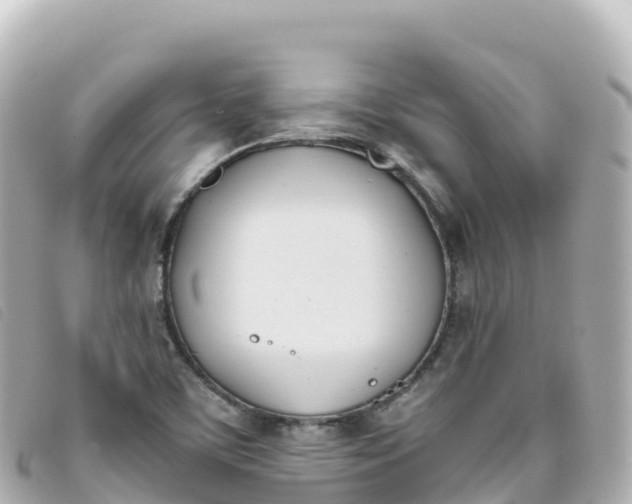 X0000093391459200710251230