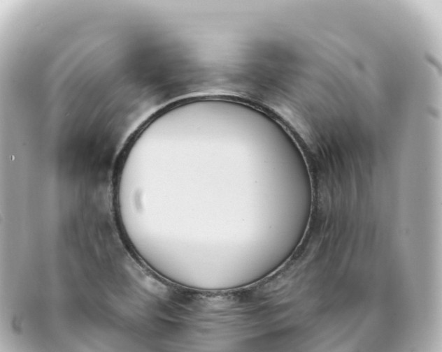 X0000093391460200710251230