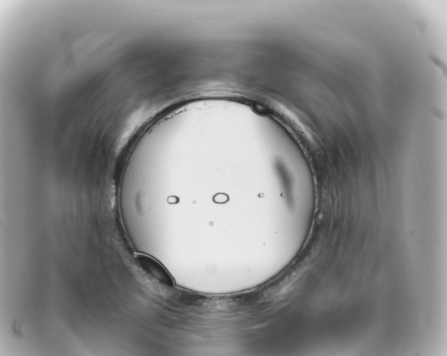 X0000093391461200710251230