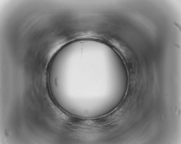 X0000093391463200710251230